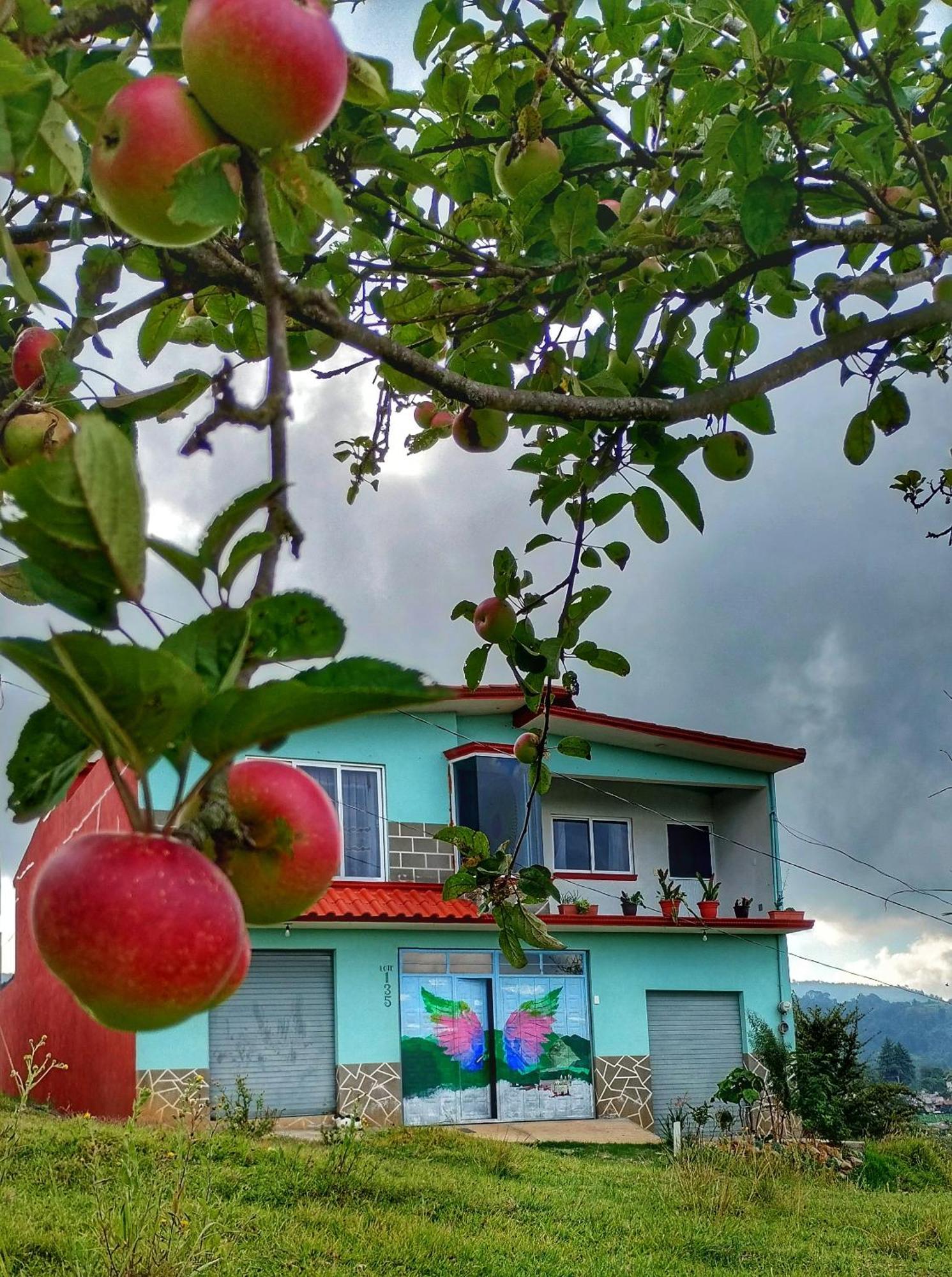 Apartamento Mixtlaxotla Zacatlan Tours Exterior foto